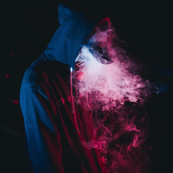 wild-vibez-317184 wild-vibez-317184